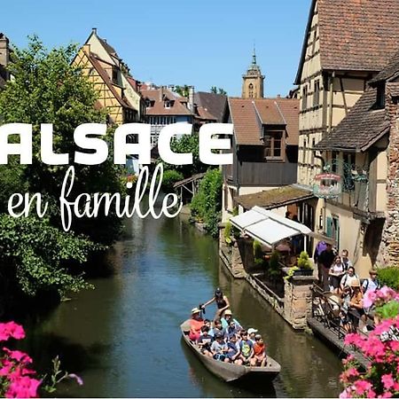 Ville Centre - Gite Le Villois - Au Coeur De L'Alsace Eksteriør bilde