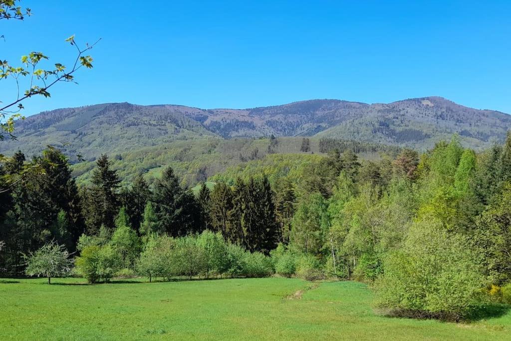 Ville Centre - Gite Le Villois - Au Coeur De L'Alsace Eksteriør bilde