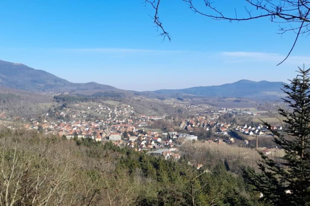Ville Centre - Gite Le Villois - Au Coeur De L'Alsace Eksteriør bilde
