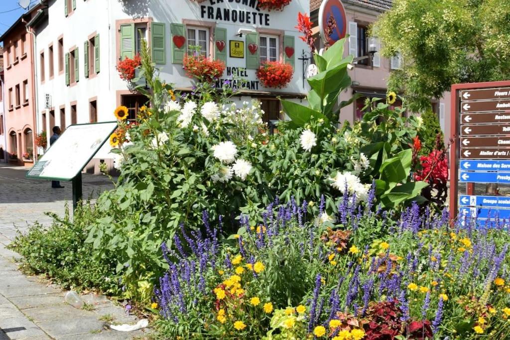 Ville Centre - Gite Le Villois - Au Coeur De L'Alsace Eksteriør bilde