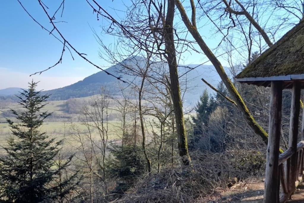 Ville Centre - Gite Le Villois - Au Coeur De L'Alsace Eksteriør bilde