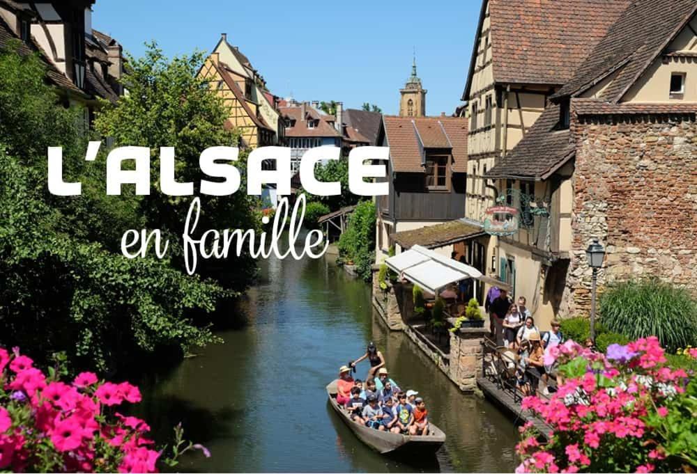 Ville Centre - Gite Le Villois - Au Coeur De L'Alsace Eksteriør bilde