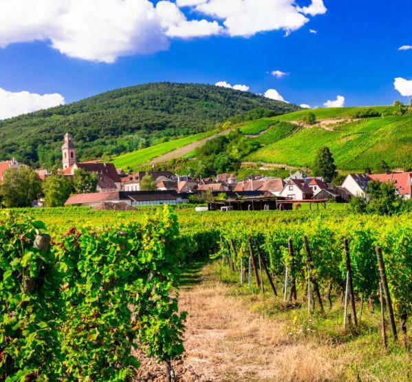 Ville Centre - Gite Le Villois - Au Coeur De L'Alsace Eksteriør bilde